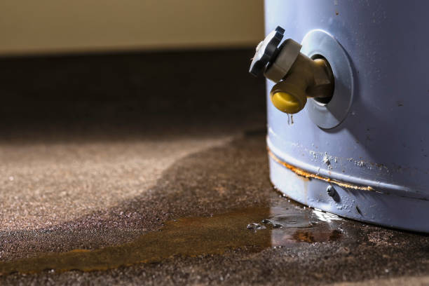 Best Sewage cleanup and water damage restoration  in Heidelberg, PA