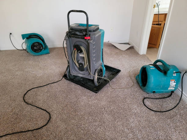 Best Water damage mitigation services  in Heidelberg, PA