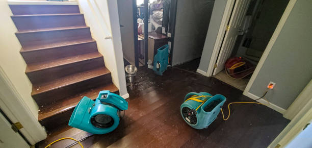 Best Water damage restoration near me  in Heidelberg, PA