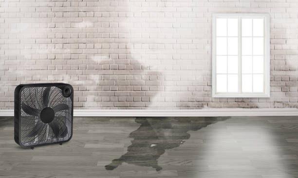 Best Water damage restoration cost  in Heidelberg, PA