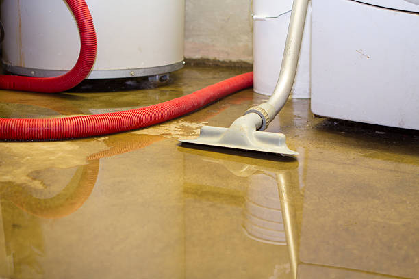Best Basement water damage restoration  in Heidelberg, PA