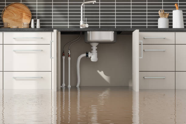 Best Fire Damage Restoration  in Heidelberg, PA