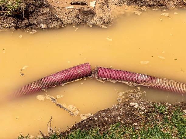 Best Local water damage restoration  in Heidelberg, PA